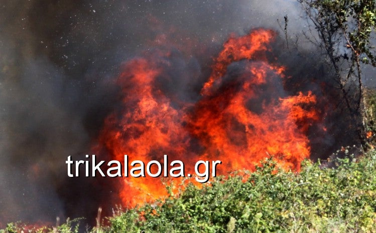 Μεγάλη φωτιά στο Κεφαλόβρυσο Τρικάλων (βίντεο)